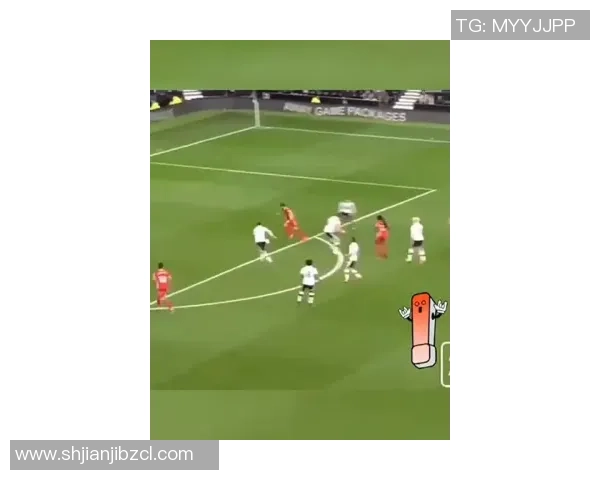 足球球星贴纸收藏的魅力与投资价值分析以及如何挑选稀有珍贵球员贴纸